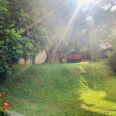 47 Alfred House - Free Pickup From Kandy City Exterior foto